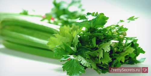 a celery at pregnancy: advantage or harm, properties